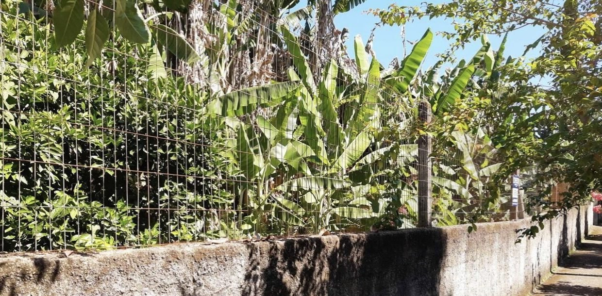 thumbnail_IMG_7199 (1)