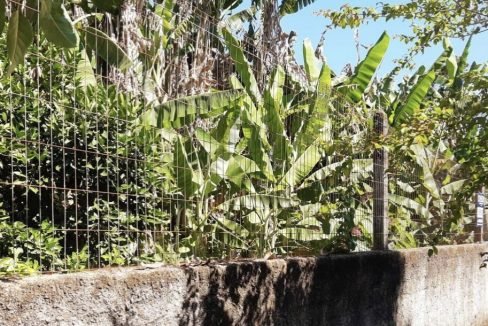 thumbnail_IMG_7199 (1)