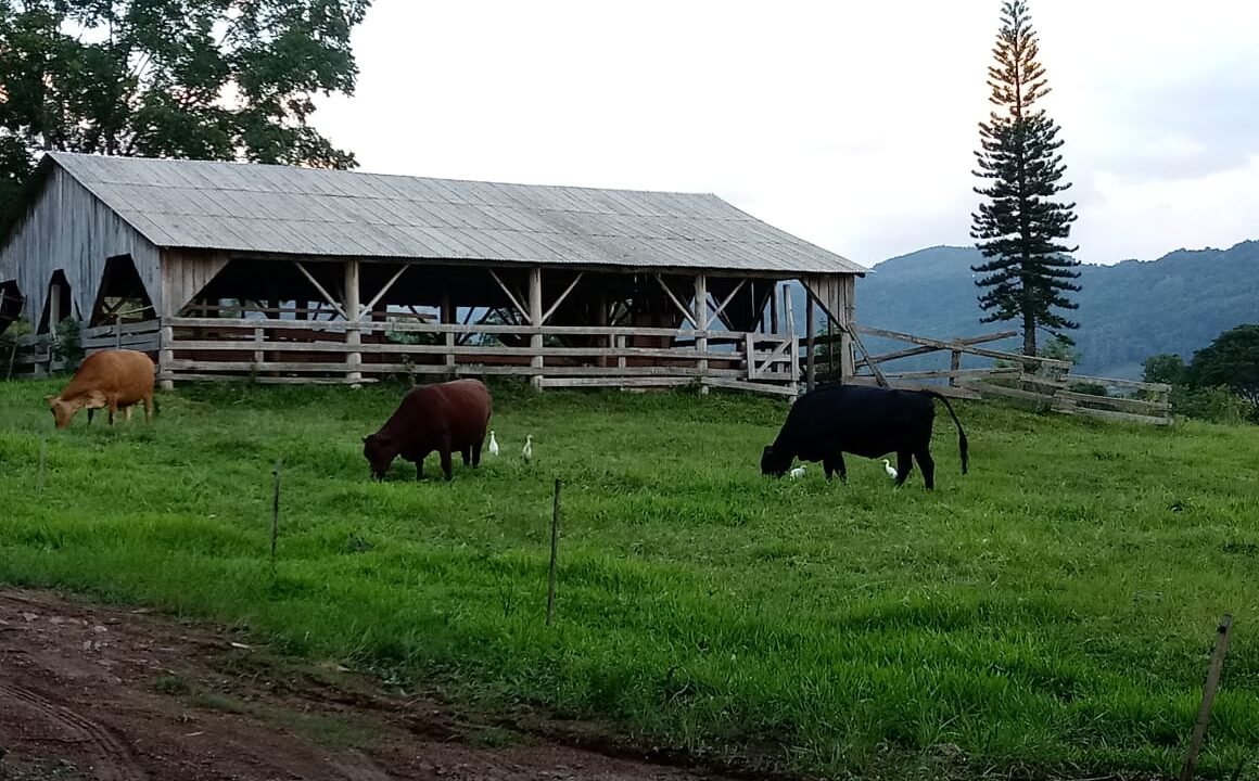 0b204652-5b5d-4764-b29d-23a4b4cfd733