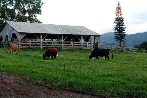 0b204652-5b5d-4764-b29d-23a4b4cfd733