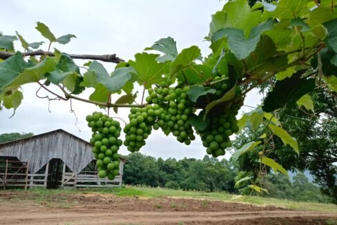 1f5f6a11-7a7a-4ff3-af92-5e858ddf8fa3