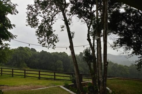 2502f734-c2bd-4d7a-b7e7-5c91657c4051