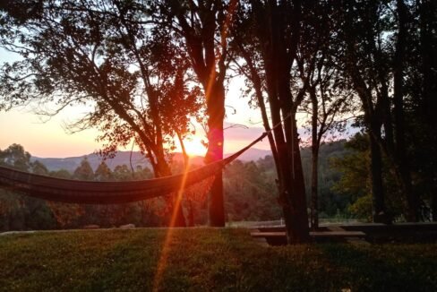 bc672adf-b4c6-48d9-9d17-8ccfc060e442