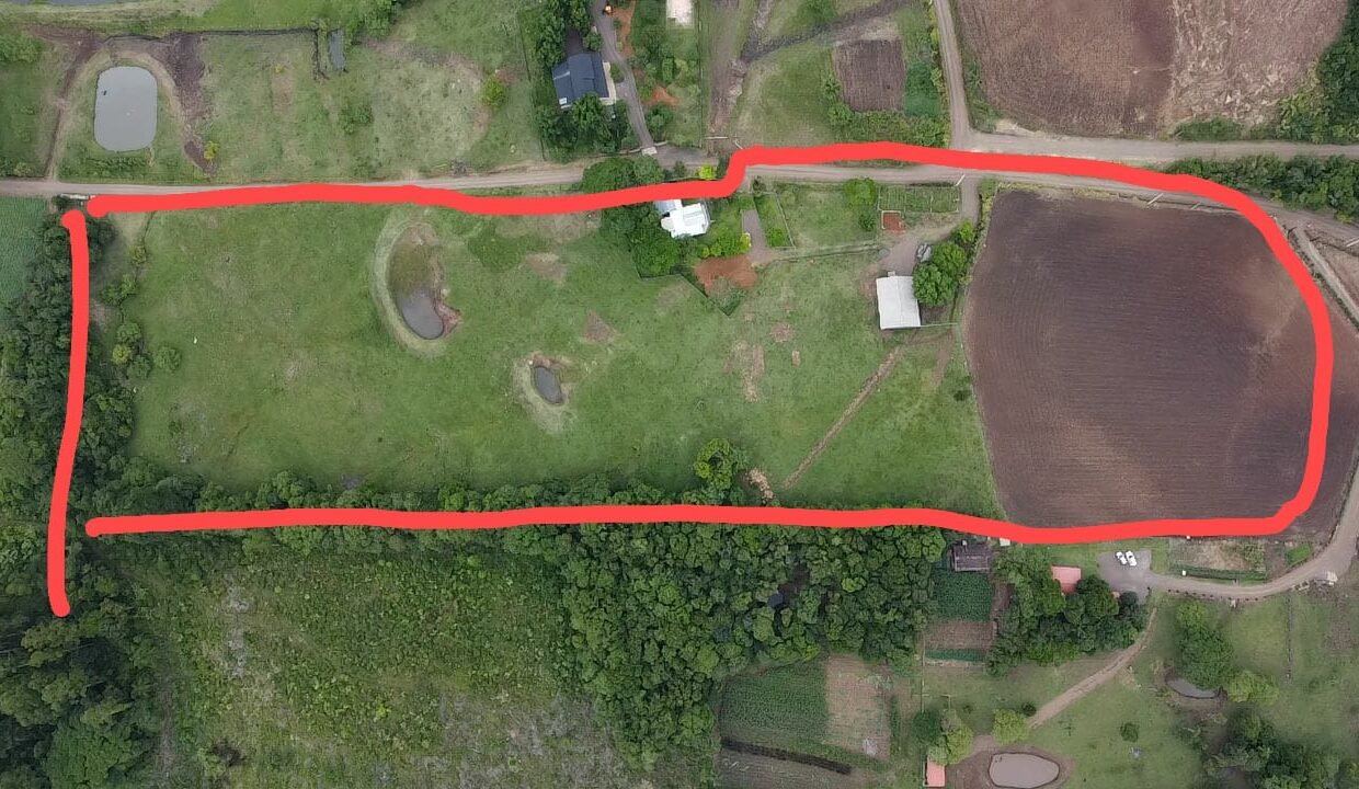 ef923e0b-45d8-488d-8d5d-25e59f36b3e2