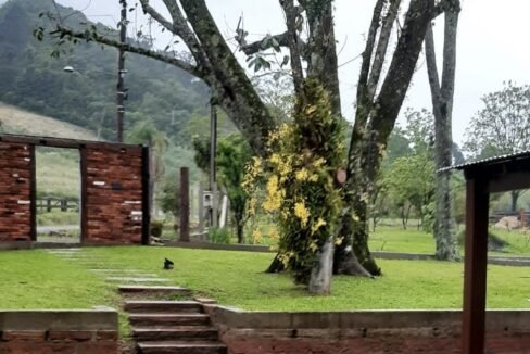 thumbnail_11e77e22-1447-402c-838f-864c2f646a93