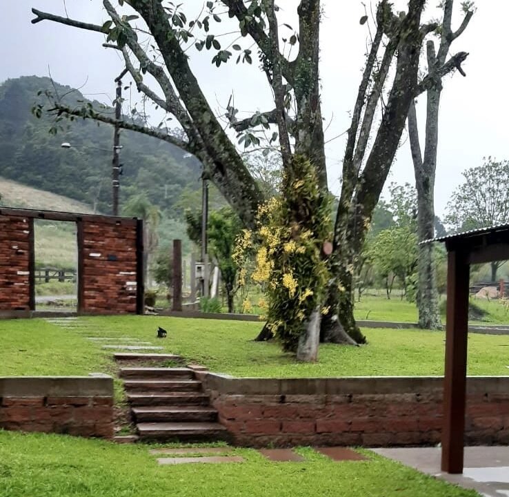 thumbnail_11e77e22-1447-402c-838f-864c2f646a93