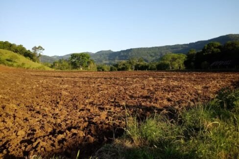 thumbnail_6c2b5759-6818-480f-b749-5c847084de33