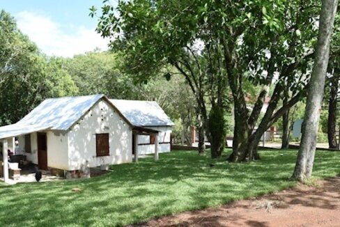 thumbnail_f29ad8a0-0f1b-425d-a2c5-7dbe707f7bd8