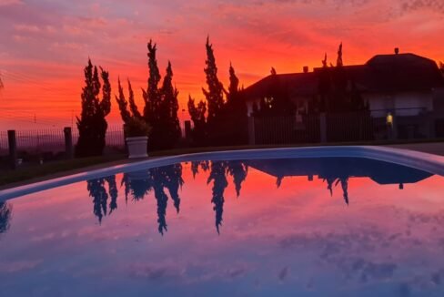 PHOTO-2023-08-01-11-01-06