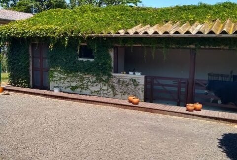 thumbnail_9d83e0fe-1299-402c-9a54-68cd8abc59b4