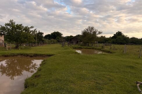 3d496a8a-f952-4328-a44f-cb5357c68b72