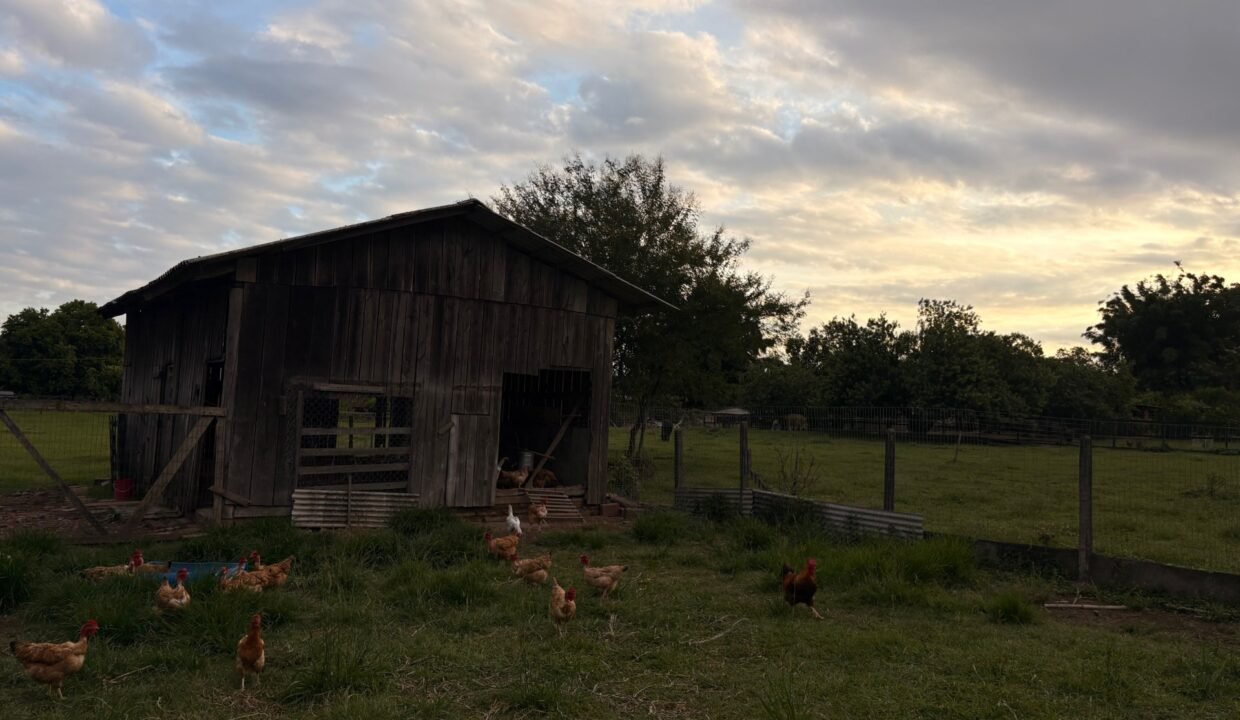 521177e6-f3f5-4adb-a3d5-2cde16cc5c76