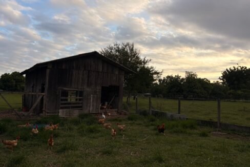 521177e6-f3f5-4adb-a3d5-2cde16cc5c76