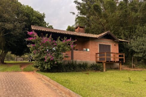 cdcced87-a619-4ea9-8a7c-080e2d8ac22d