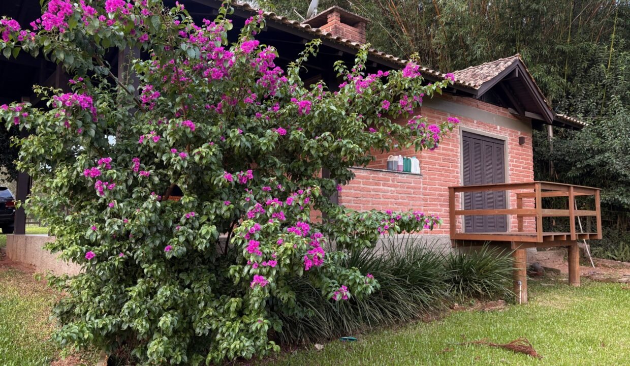 ed2241a8-61aa-48fa-91ca-092344d12b54